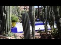 Jardin Majorelle Botanical Garden Marrakech  (Yves Saint Laurent Gardens)