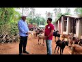 ଓଡ଼ିଶାର ସବୁଠାରୁ ପୁରୁଣା ଛେଳି ଫାର୍ମ first commercial goat farm in odisha goat farm in ganjam.