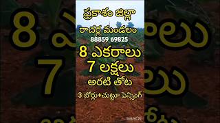 88859 69825:జిల్లా రాచర్ల మండలం 8 ఎకరాల అరటి తోట మూడు బోర్లు చుట్టూ ఫెన్సింగ్ ఎకరం ఏడు లక్షలు