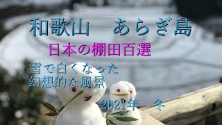 【和歌山県有田川町】あらぎ島は絶景だ！〜2021冬〜日本の棚田百選