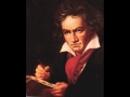 beethoven ode a alegria