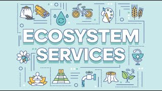 Ecosystems and Their Services