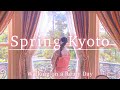 Kyoto Vlog | Visiting Spring Kyoto with Kimono| cherry blossoms and cafe