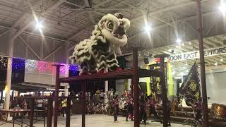 新加坡騰義體育會 Singapore Teng Ghee Traditional Lion Dance Performance on the 20/5/23