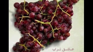 عــاشـق تـراب السـويـدا