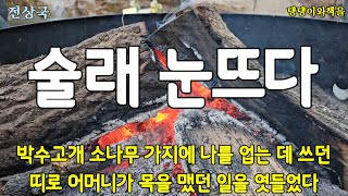 전상국/술래 눈뜨다/아버지가 어머니를 쫓아냈던 것은 그해 봄이었다