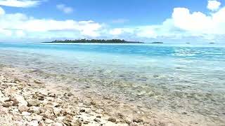 Soothing waves sounds, Tropical Healing Relaxation Video, Pacific Island Polynesian Paradise