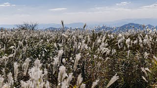 [4K] 영남 알프스 천황산 등산 | Day Hike in Mount. Cheonhwang, South Korea