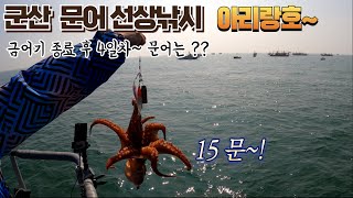 군산 야미도선착장 7월 4일 문어 선상낚시 [아리랑호]