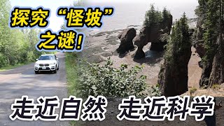 【加东自驾】 EP06 探NB省世界最大潮汐+怪坡实验