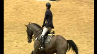 Hilmar Meyer Sporthorses 2015 Continuo London 2 15m