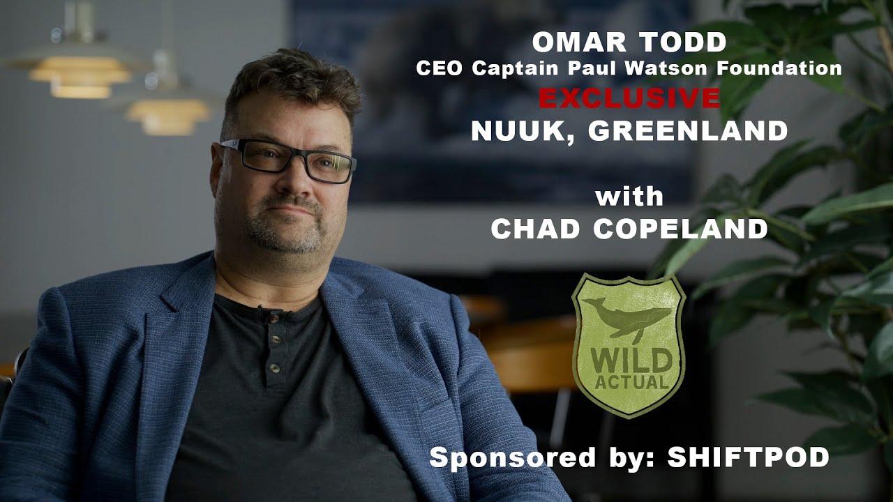 Omar Todd Interview Ceo Captain Paul Watson Foundation