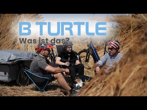 B Turtle - Was Ist Das? - YouTube