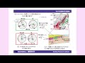 令和３年度　国立研究開発法人建築研究所講演会　プログラム４「スラブ内地震，海溝型巨大地震とスロー地震」　国際地震工学センター　主任研究員　北　佐枝子