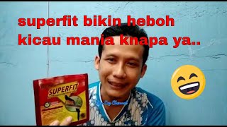 Kenapa voer superfit bikin penasaran kicau mania