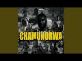 Chamunorwa