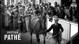 Newmarket Sale - Horse Flesh 46/- An Ounce (1945)