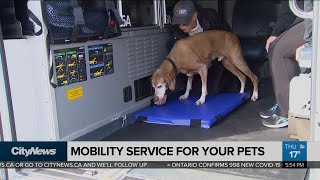 Pet transport service aims to help owners get animal care