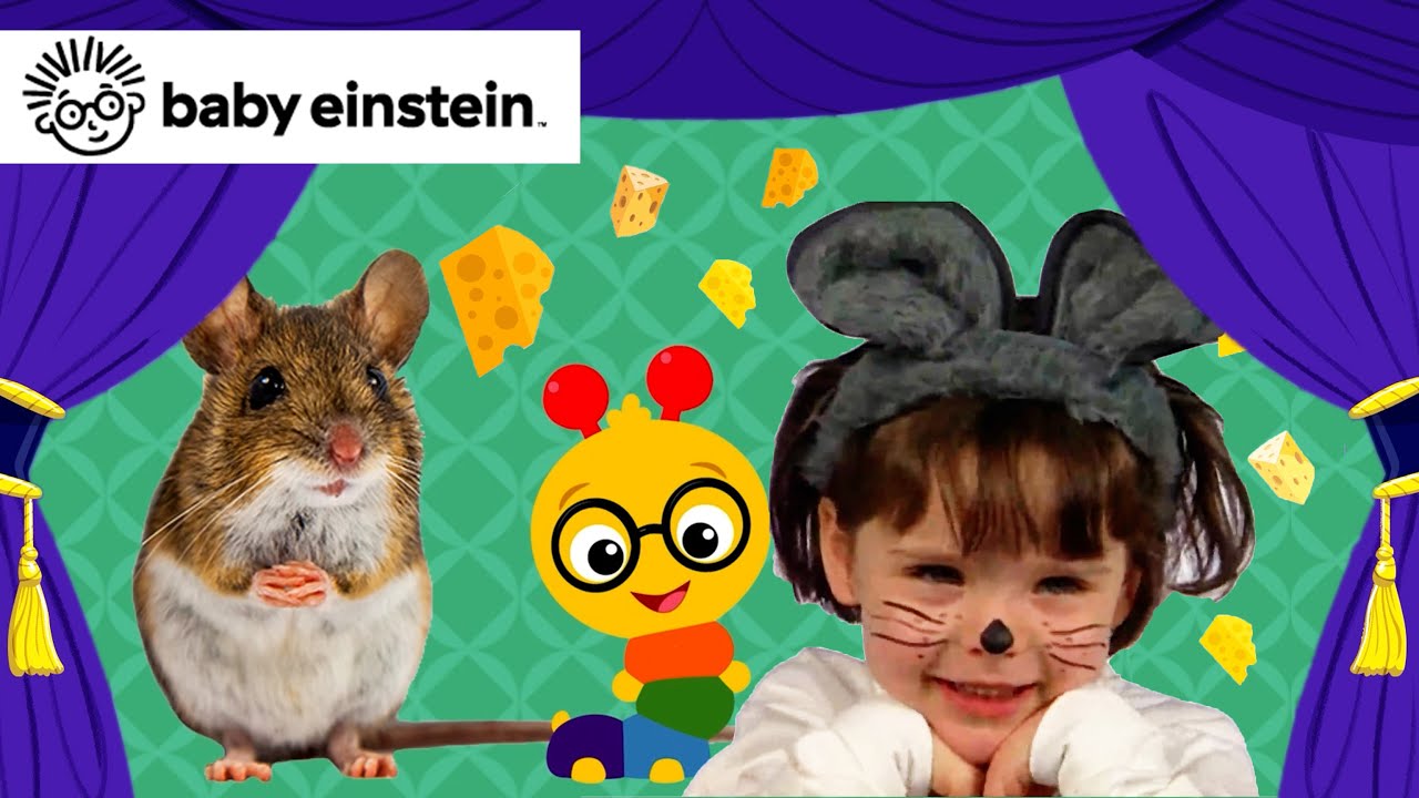 Baby Einstein Animal Classics Pi Kids Baby Einstein Little First Look