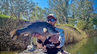 Yellowbelly Fishing | Murray River