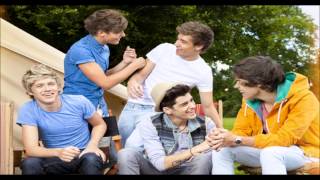one direction live while we're young 1hour