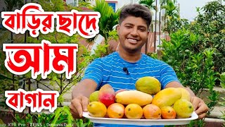 সূর্যডিম/ব্যানানা/চাকাপাত/রেড আইভরি/হানিডু/পালমার কোন আমের স্বাদ কেমন? Thailand variety mango plants