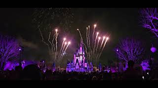 Disney's Magic Kingdom Happily Ever After Fireworks 2 3 24