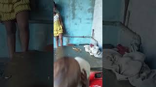 மாமா உடன் விளையாடும் பிள்ளை