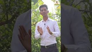 बालाजी निम्बू की खेती, 12 महीने मिलेगा उत्पादन || balaji nimbu ki kheti #innovative_farmers