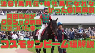 コスモサンビームを解説【迷G1馬列伝+種牡馬になれなかったG1馬解説】～マイネル軍団、岡田総帥がクラシックに近づいた２００４年クラシックロード…～【ゆっくり解説】