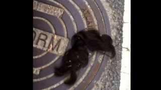 Atlanta Tumbleweave