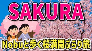 【桜満開Vlog】Nobu旅と行く久留米＆うきは桜並木ぶらり旅🌸