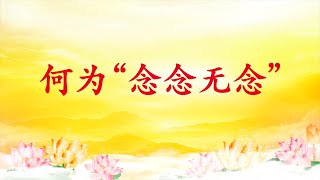 卢台长【节目录音】何为“念念无念”