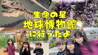 神奈川県立生命の星地球博物館に行ったよ😊動く恐竜にも小田原駅で会えました✨【小田原箱根の隠れた観光スポット】