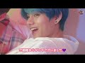 【日本語字幕】とにかく2人がテギってる動画 【bts 방탄소년단】