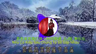 若有来世我们换个时间相遇 _DJ版_ (Nếu Có Kiếp Sau Chúng Ta Sẽ Gặp Nhau)#李乐乐#抖音热门最好听的歌曲2022🔥