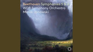 Symphony No. 5 in C Minor, Op. 67: I. Allegro con brio