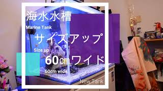 海水水槽サイズup 60cmワイド　~Sizing up Marine Tank　60wide~