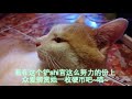 【古筝】千本樱——你可见过如此凶残的练习曲