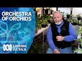 A lifelong obsession with orchids | My Garden Path | Gardening Australia