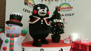 くまモン！さきちゃん見えなさすぎ(笑)スクエアでクリスマスツリー点灯式☆