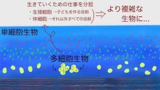 【命のはじまり】最初の生物