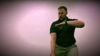 Grasping the Swallow's Tail- Simplified Tai Chi Chuan