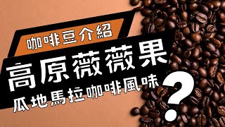 【咖啡豆介紹】精品咖啡｜高原薇薇｜瓜地馬拉咖啡風味