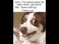 Funny Memes Compilation  #MEMES #Memesdaily  #Shorts 245