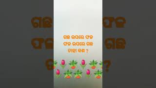 ଗଛ ଉପରେ ଫଳ ଫଳ ଉପରେ ଗଛ ?#please like and subscribe my channel 🙏🙏