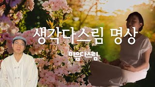 [수행지도]생각다스림 편 - 실제 수행지도하는 무아 영상