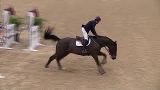 Video of ESSINCE W ridden by DAVID Q. BEISEL from ShowNet!