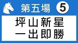 賽馬精選 第5場 坪山新星 一出即勝 「King」2019-04-24