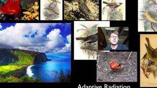 Speciation and Extinction
